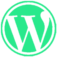 🛠️ Custom WordPress Development